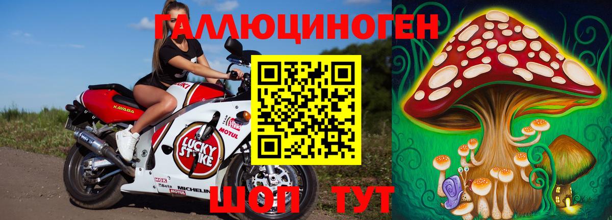 Шахты  Галлюциногенные грибы мицелий  Вход с VPN  Галлюциногенные грибы GOLDEN TEACHER 